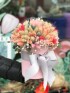 IMG 7586